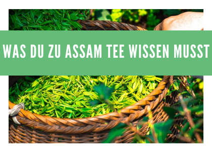 Tauche ein in die Welt des Assam Tees: In 5 Schritten zum perfekten Tee!