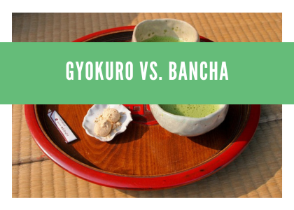 Gyokuro vs. Bancha: Die faszinierende Vielfalt der japanischen Grüntees