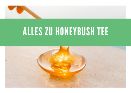 Honeybush Tee - Südafrikas süßer und gesunder Genuss