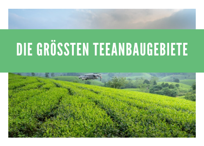 Die Vielfalt der Teeanbaugebiete - Eine Reise durch verschiedene Tee-Regionen